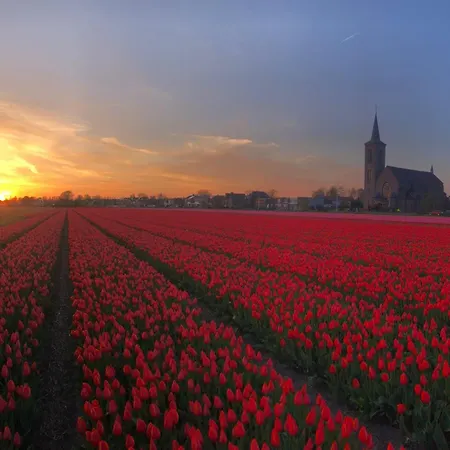 Geliefd * Voorhout