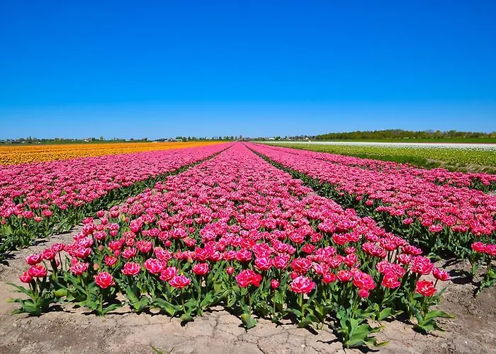 فندق مبيت وإفطار Geliefd