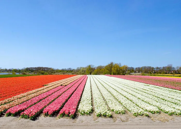 Bed & Breakfast Geliefd 3*