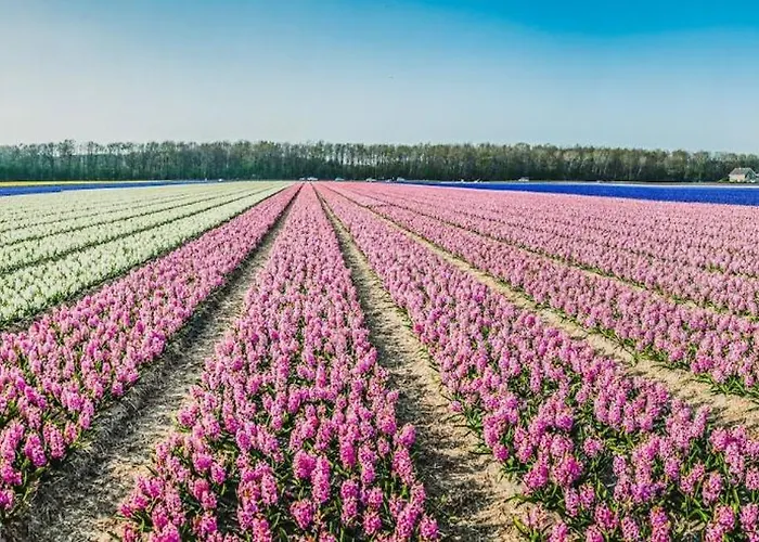 Geliefd Bed & Breakfast