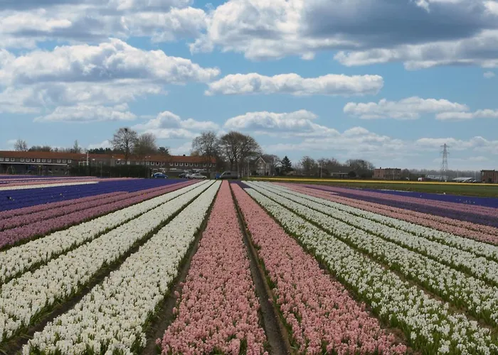 Geliefd Oda ve Kahvaltı Voorhout